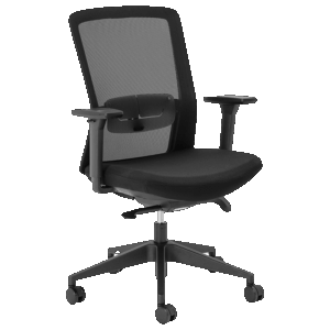 Aila Ergo Mid Back Chair