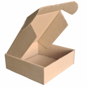 Brown Kraft Square Shipper Box – 300 x 300 x 100mm