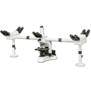 Microscope Multi-Head BS-2080MH10