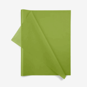Aloe Green Wrapping Tissue (24 Sheet Pack)