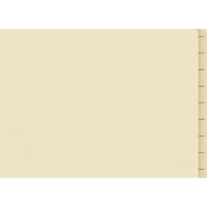 Lateral Document Files - Foolscap - Medium Weight - 190gsm - Pack of 200 - FILLMW200