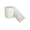 Toilet Paper - 1 Ply - Economy - 500 Sheets - Pack of 48 - PP_39