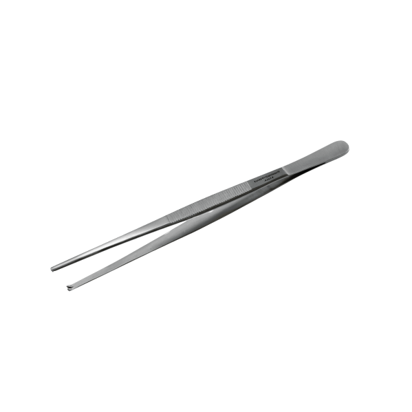 Forceps Tissue – 15cm 1×2