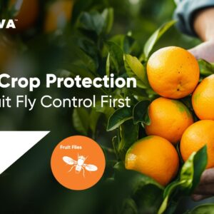 Fungicide Dithane M-45