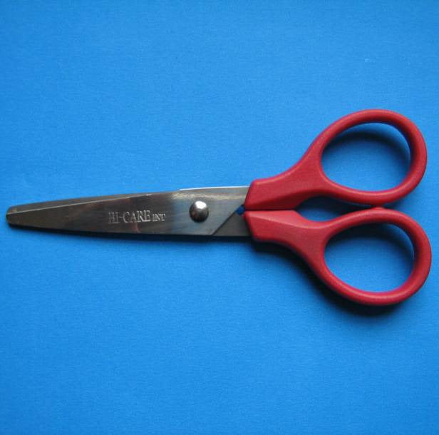 Scissors Budget Small – Hi-care