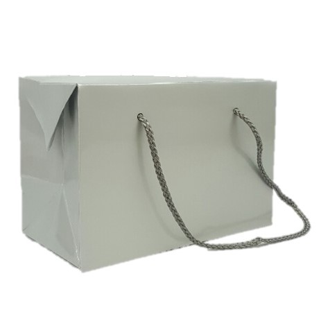 Silver Gloss Box Bag with Cord Handles (S)