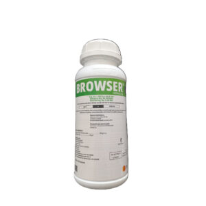 Browser 1L