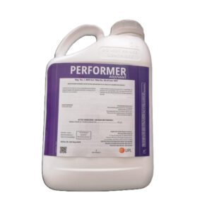 Performer 5L
