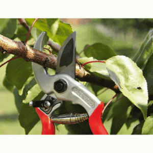 Alternative view of Castellari Universale Pruning Shear