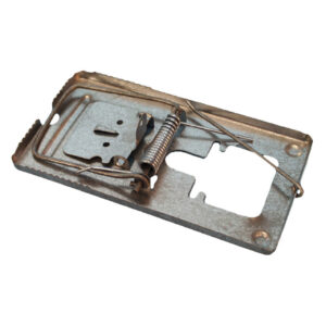 Rat Trap