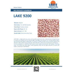 Lake Sugar Beans 9200 Disease Free Certified
