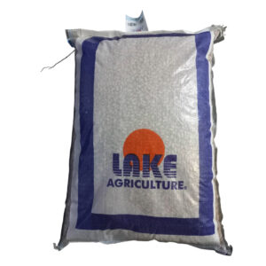 Alternative view of Lake Sugar Beans 9200 Disease Free Certified