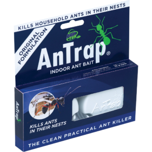 Antrap Indoor