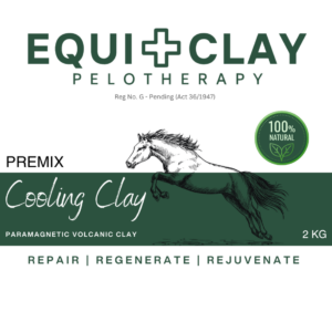 Equiclay Cooling Clay 2Kg Premix