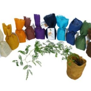 My Tree Starter Packs (Bag) Small: 100*100*170mm – Min Order: 25