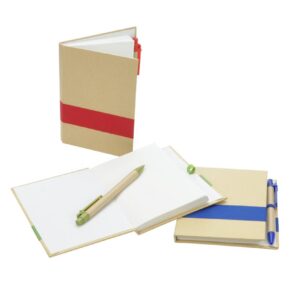 Recycled Notebook & Pen