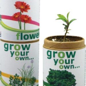 Grow your own herb – organic herb seeds in recycled container.