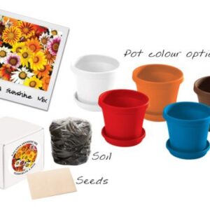 Flowers in a Box