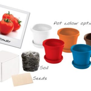 Tomatoes in a Box