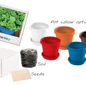 Parsley in a Box