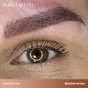 Alternative view of Perma Blend Blackish Brown