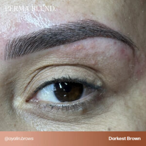 Alternative view of Perma Blend Darkest Brown