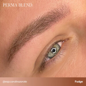 Alternative view of Perma Blend Fudge