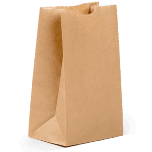 Medium Plain Paper Bag
