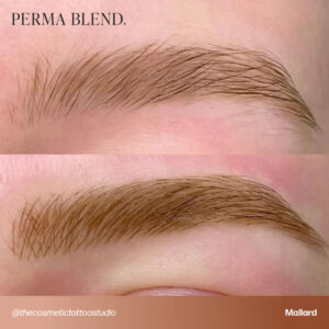 Alternative view of Perma Blend Mallard