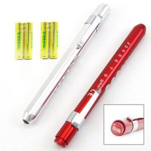 Alternative view of Pupil Torch – Budget _ Silver