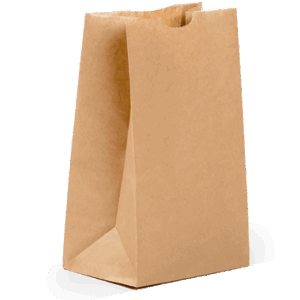 Small Plain Paper Bag
