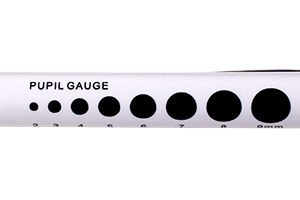 Semi Disposable Pupil Torch