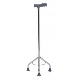 Alternative view of Walking Stick ? Tripod