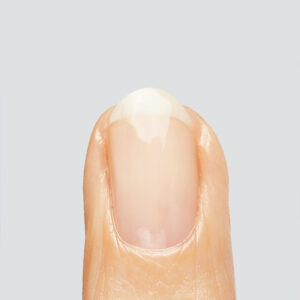 Alternative view of Bond Base - Hema free base coat